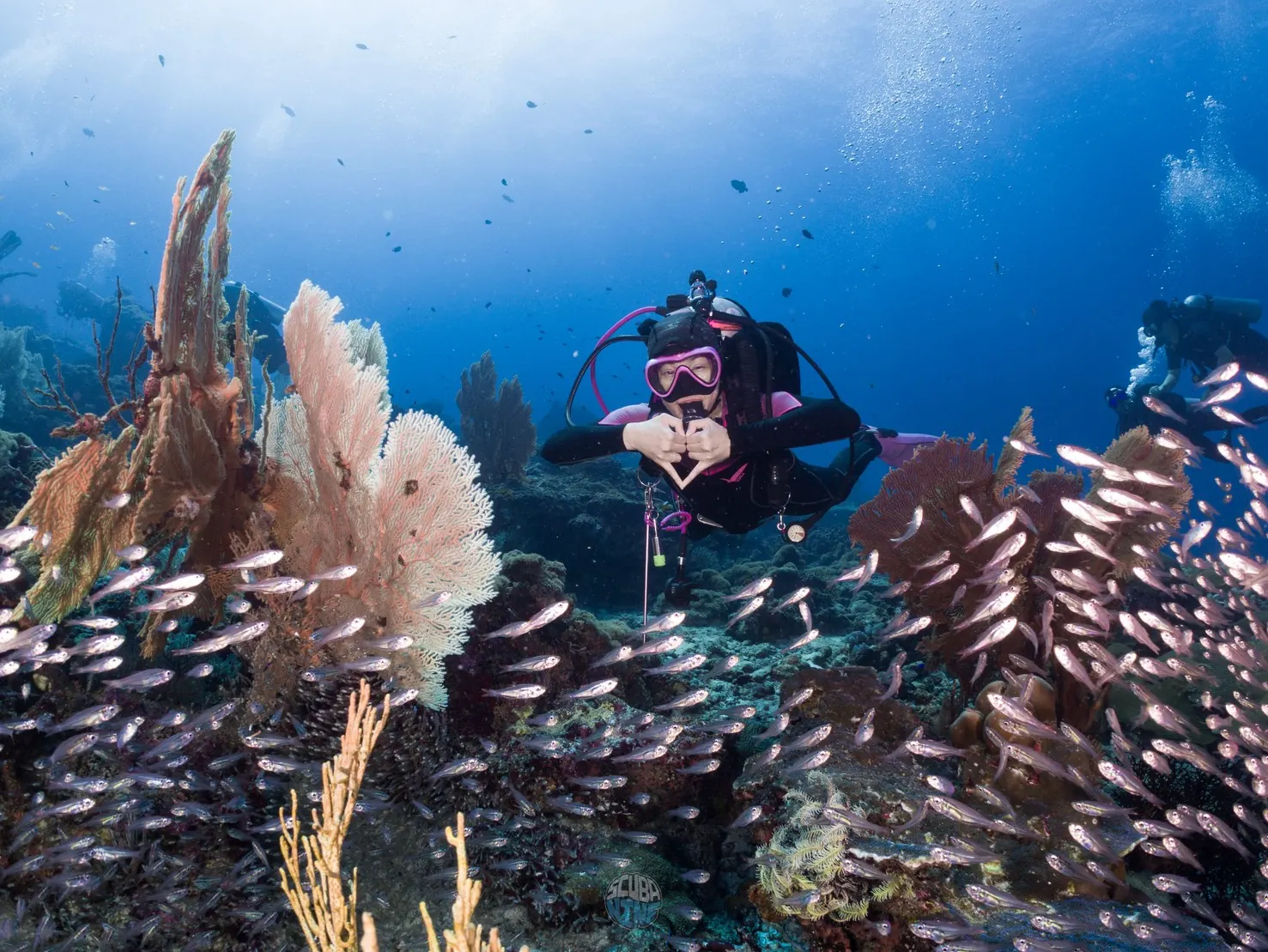 Open Water Diver — คอร์สดำน้ำสำหรับผู้เริ่มต้น
