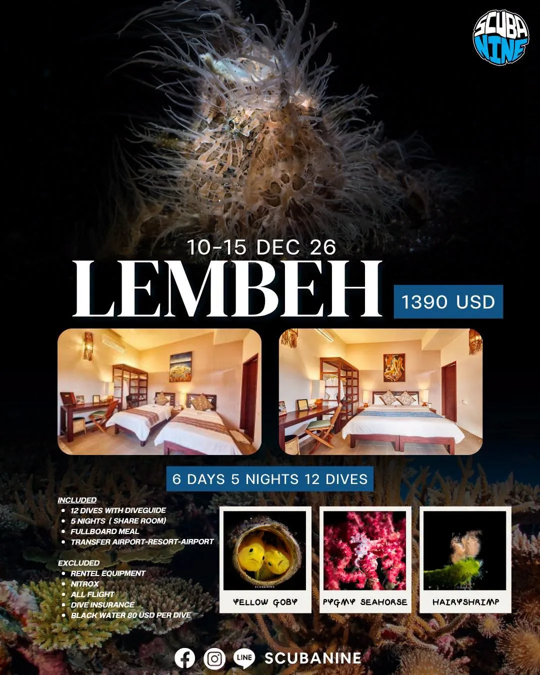 Lembeh — ดำน้ำ Macro| Day Trip