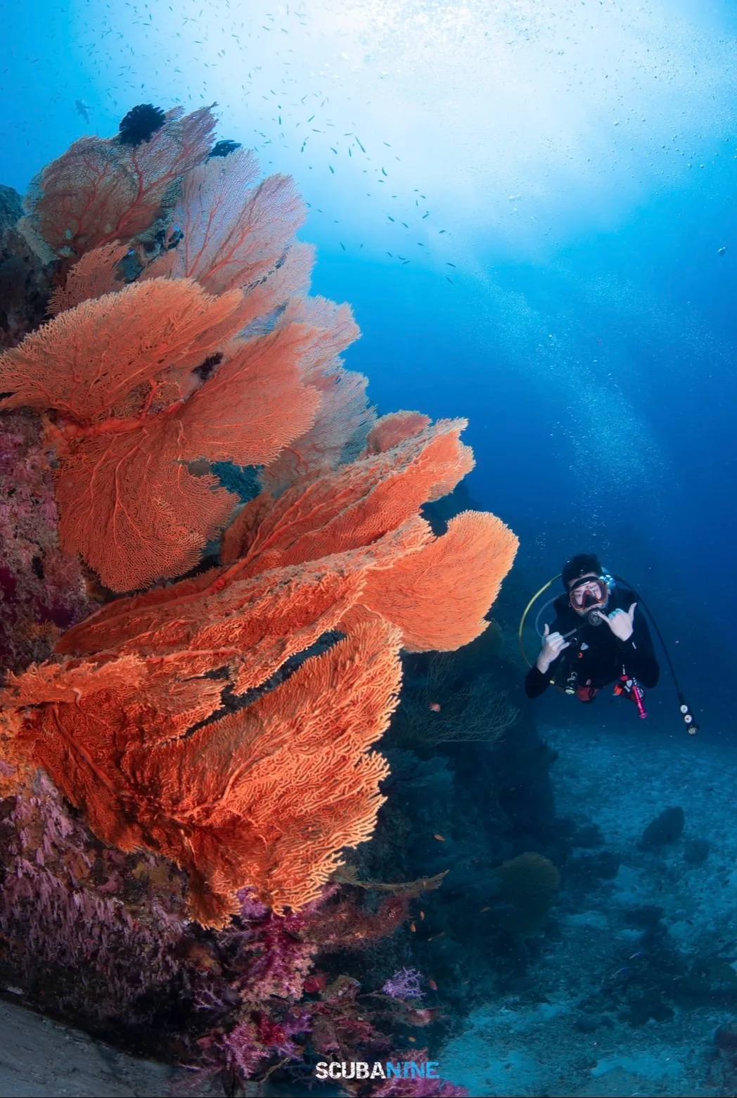 Rescue Diver — คอร์สช่วยเหลือนักดำน้ำ