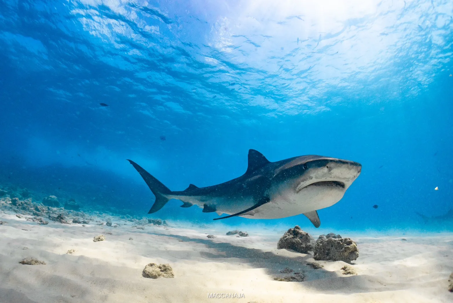 Maldives Package — Fuvahmulah | Premium Hotels