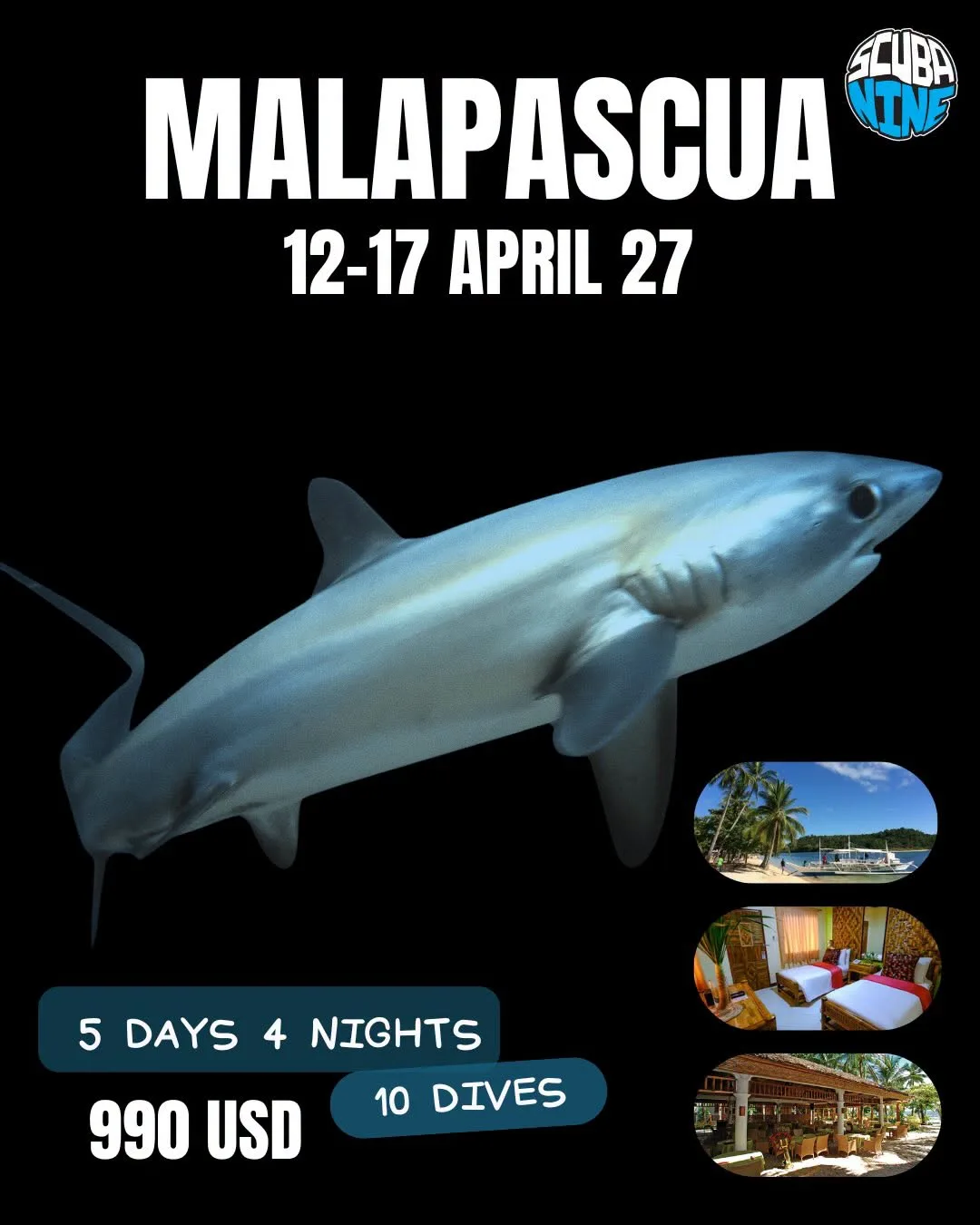 Malapascua — ดำน้ำ Thresher Shark | Exotic Resort