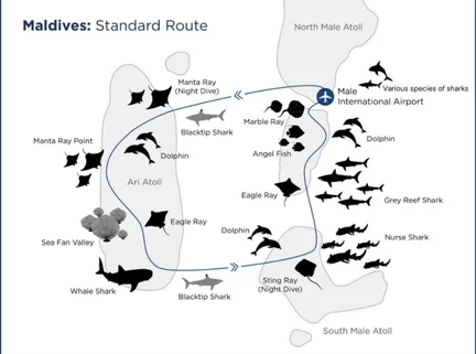 ทริปดำน้ำ Maldives ที่ Standard Route เรือ Legend Y