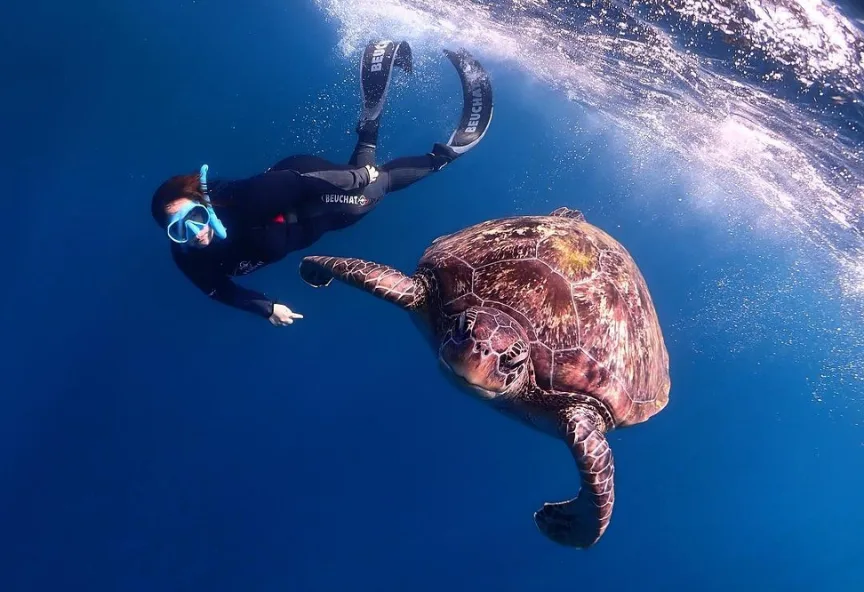 SSI Basic freediving