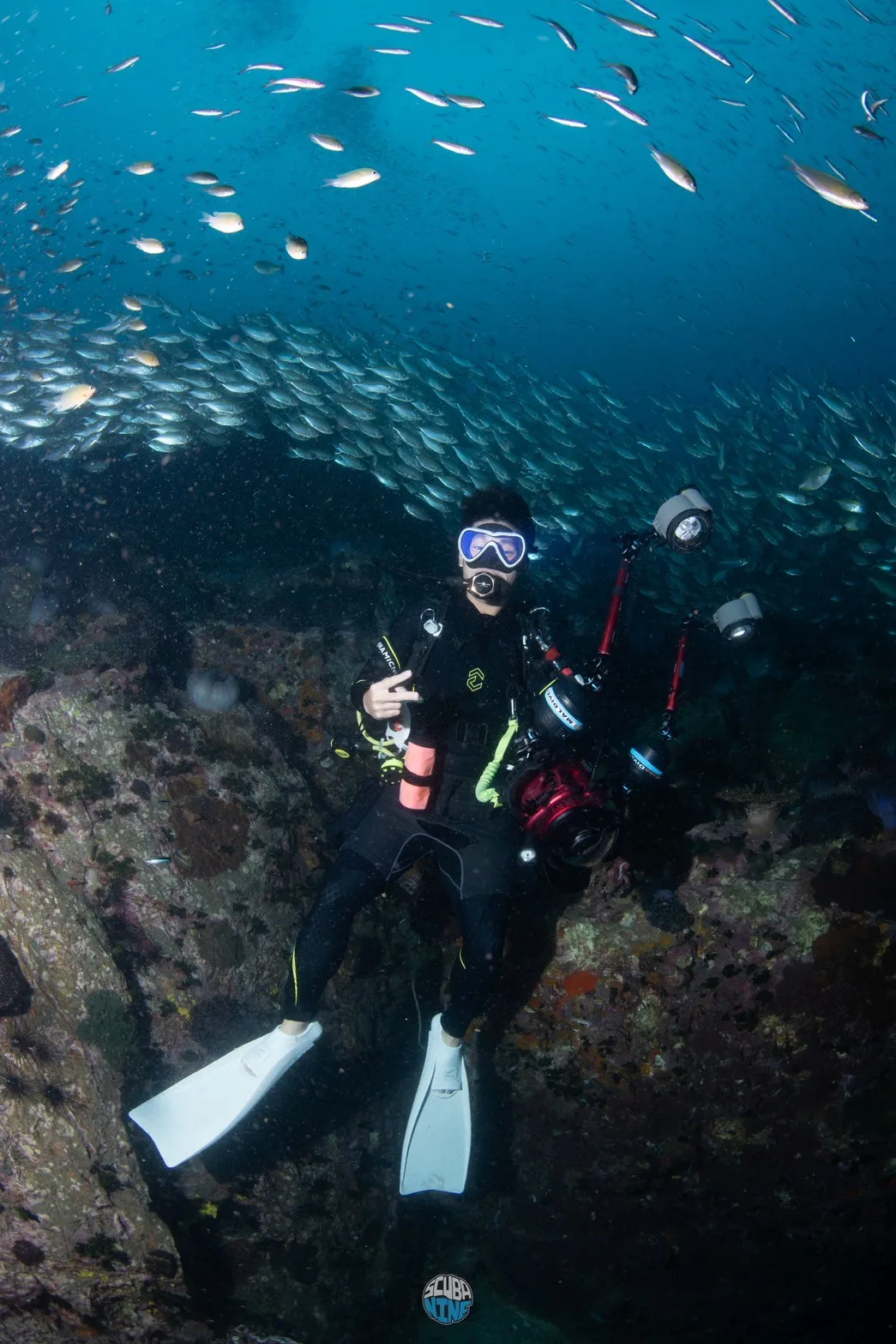 Divemaster — ก้าวสู่มืออาชีพ